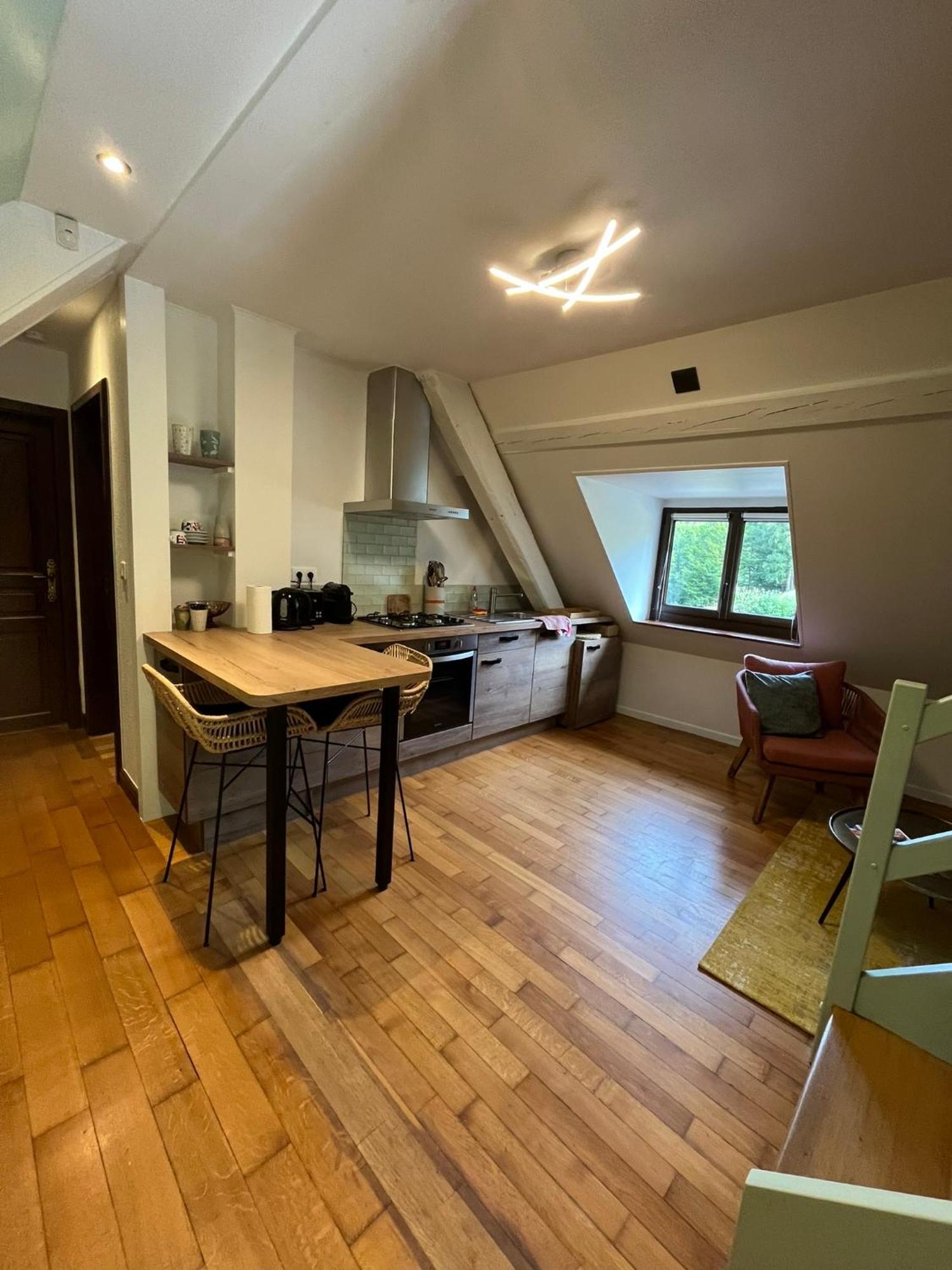 Marguerite Apartment Sainte-Marie-aux-Mines